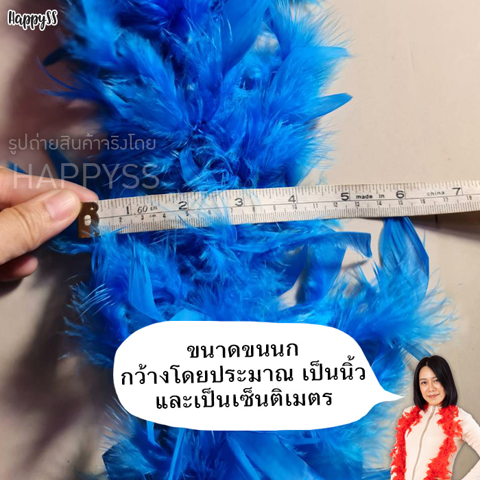 ขนนกเส้น ขนนกแก๊สบี้ คานิวัล