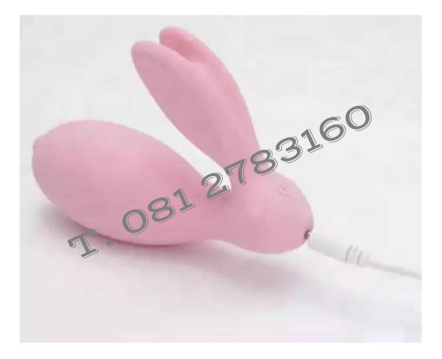 รหัส XM -142 ไข่สั่นไร้สายพรีเมี่ยม