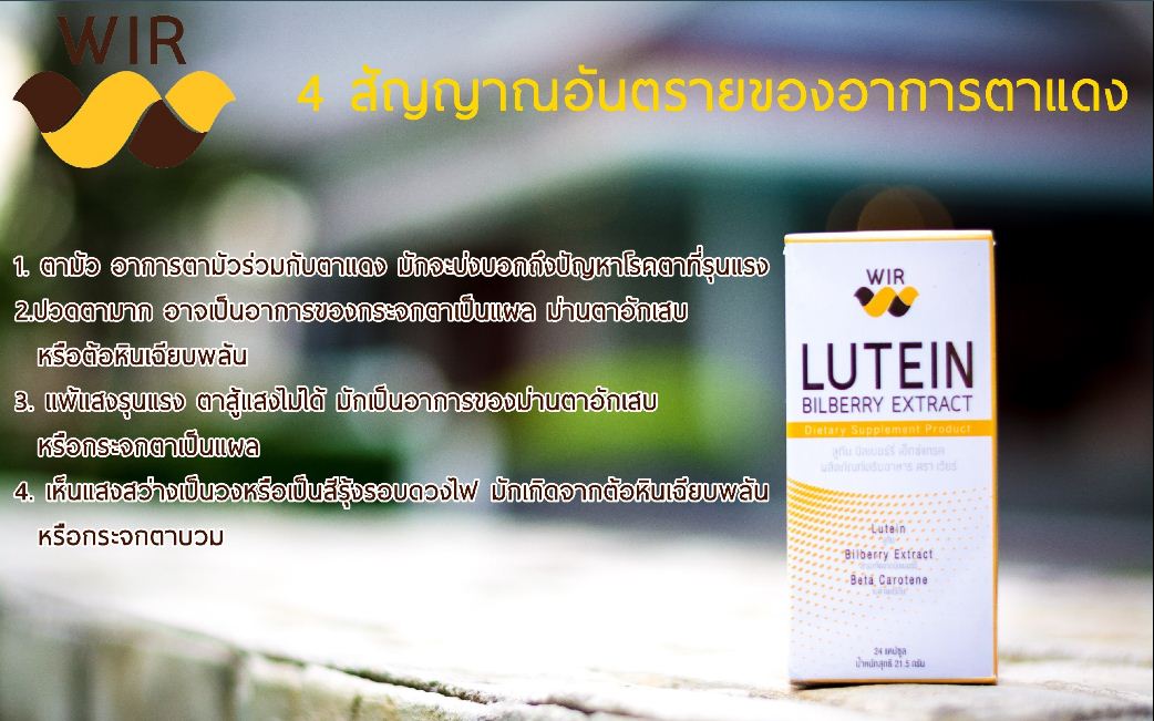 Wir lutein bilberry extract วิตามินบำรุงสายตา ขายดีอันดับ 1