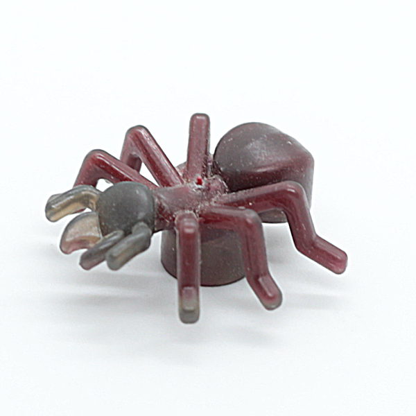 Ant
