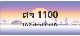 ป้ายประมูล ศจ 1100