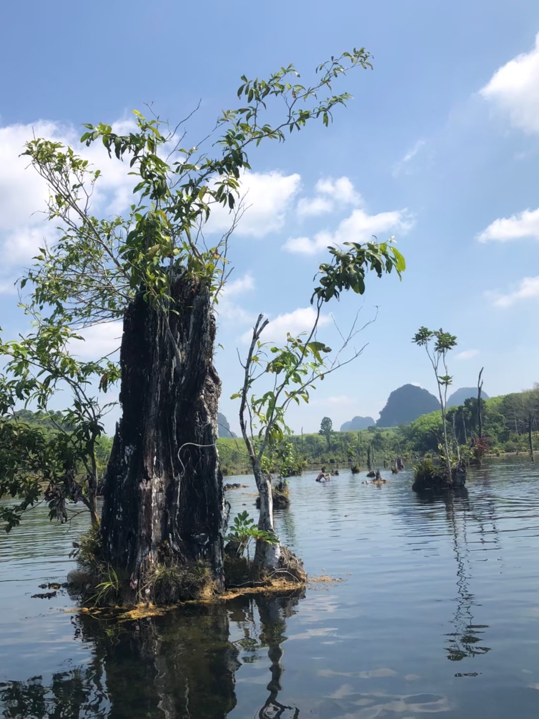 อันดับ 1 เที่ยวกระบี่ คลองหรูด คลองน้ำใส พายเรือคายัค ครึ่งวัน หนองทะเล อ่าวนาง กระบี่
