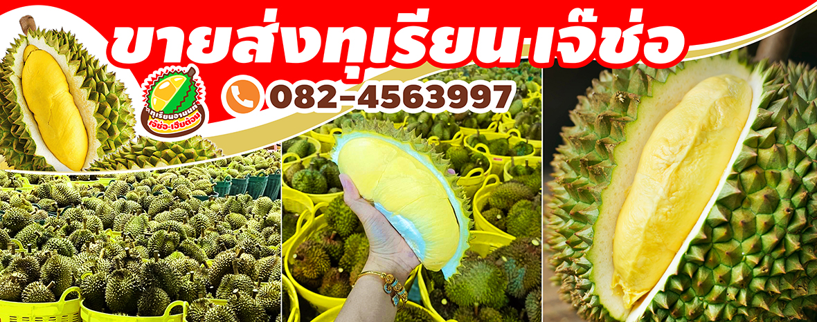 ขายส่งทุเรียนดี