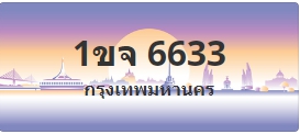 ป้ายประมูล 1ขจ 6633