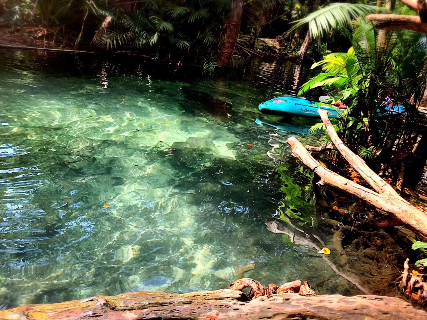 อันดับ 1 เที่ยวกระบี่ คลองหรูด คลองน้ำใส พายเรือคายัค ครึ่งวัน หนองทะเล อ่าวนาง กระบี่