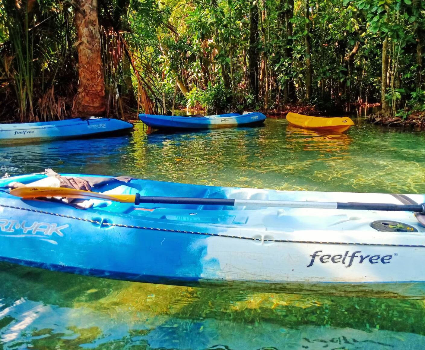 อันดับ 1 เที่ยวกระบี่ คลองหรูด คลองน้ำใส พายเรือคายัค ครึ่งวัน หนองทะเล อ่าวนาง กระบี่