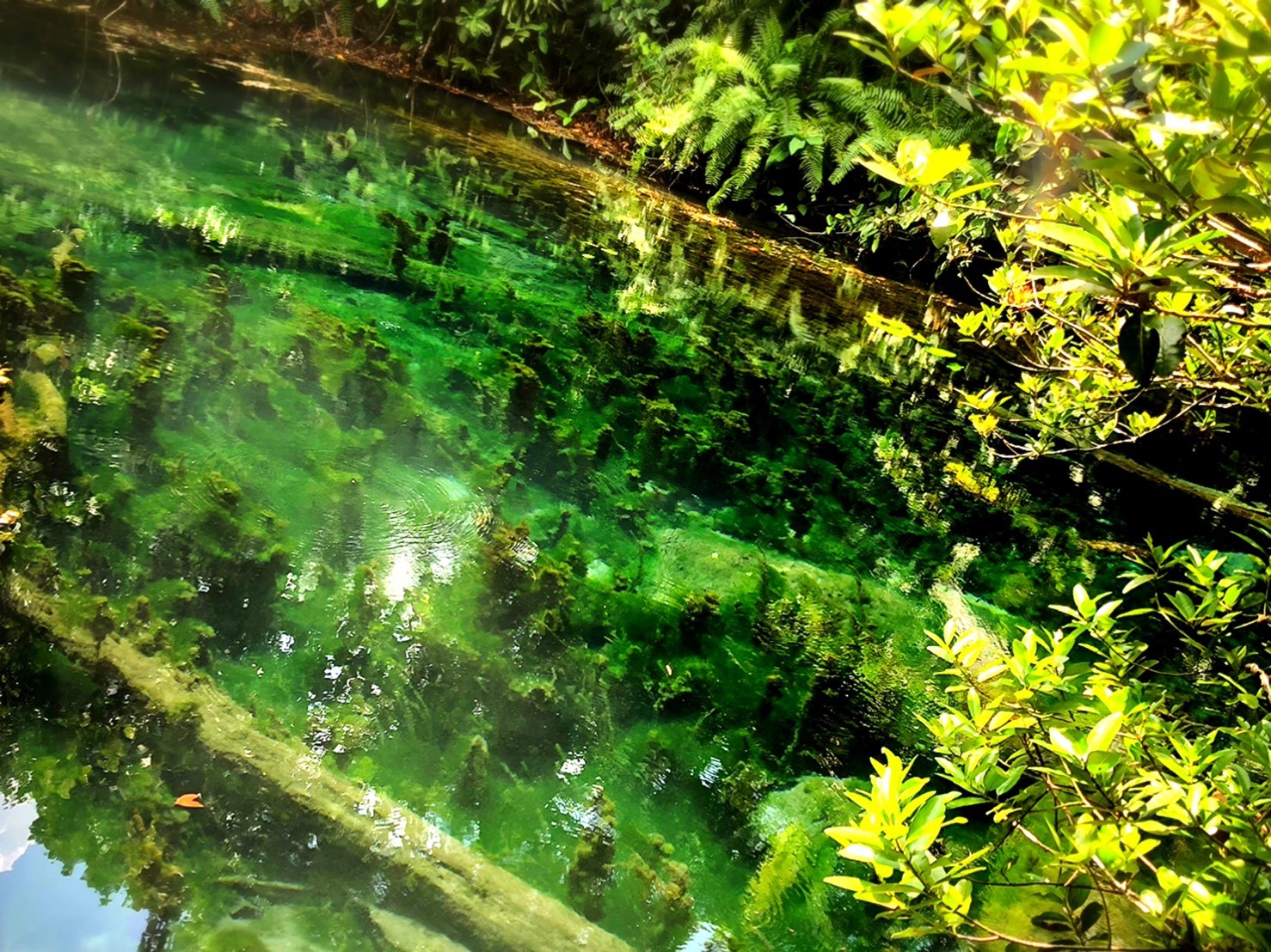 อันดับ 1 เที่ยวกระบี่ พายเรือคายัค คลองน้ำใส ขับ ATV เต็มวัน