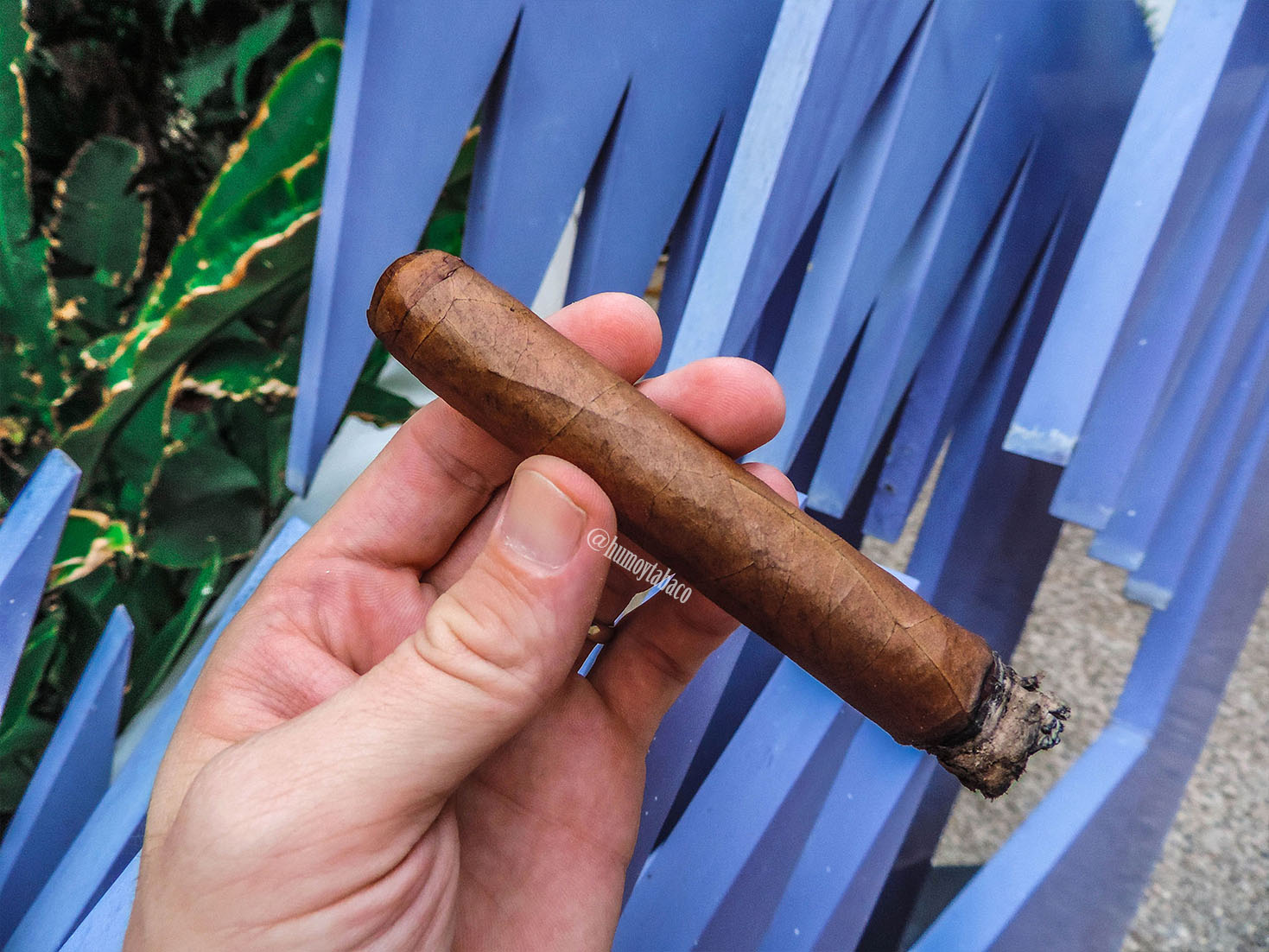 Rocky Patel Edge Corojo Fumas Toro