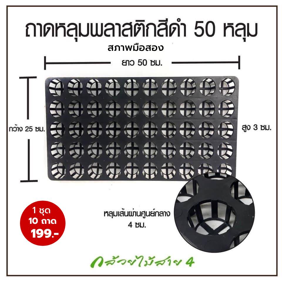 ถาดเพาะกล้า ถาดเพาะชำ ถาดเพาะเมล็ด 50 หลุม มือสอง 1 ชุด มี 10 ถาด พลาสติกแข็งแรง เกรดพรีเมี่ยม