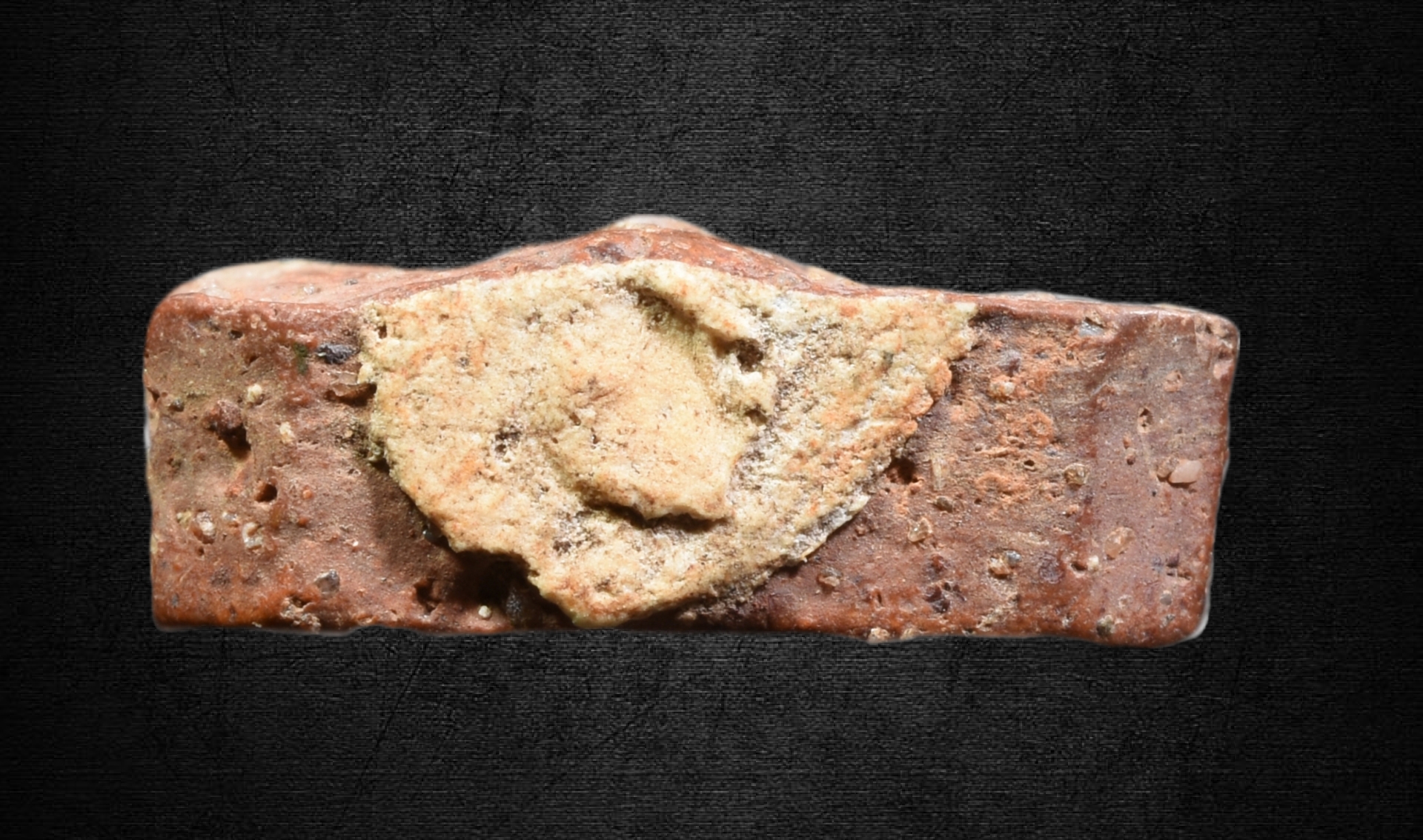 พระหลวงพ่อปาน พิมพ์ทรงครุฑ