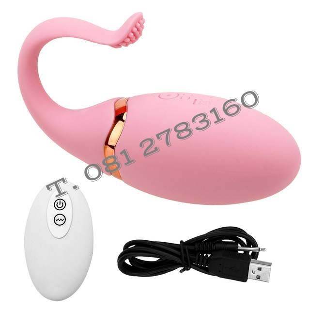 รหัส XM -141 ไข่สั่นไร้สายโลมา