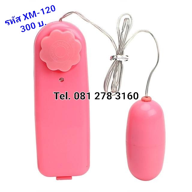 รหัส XM-120 ไข่สั่นหัวเดียว