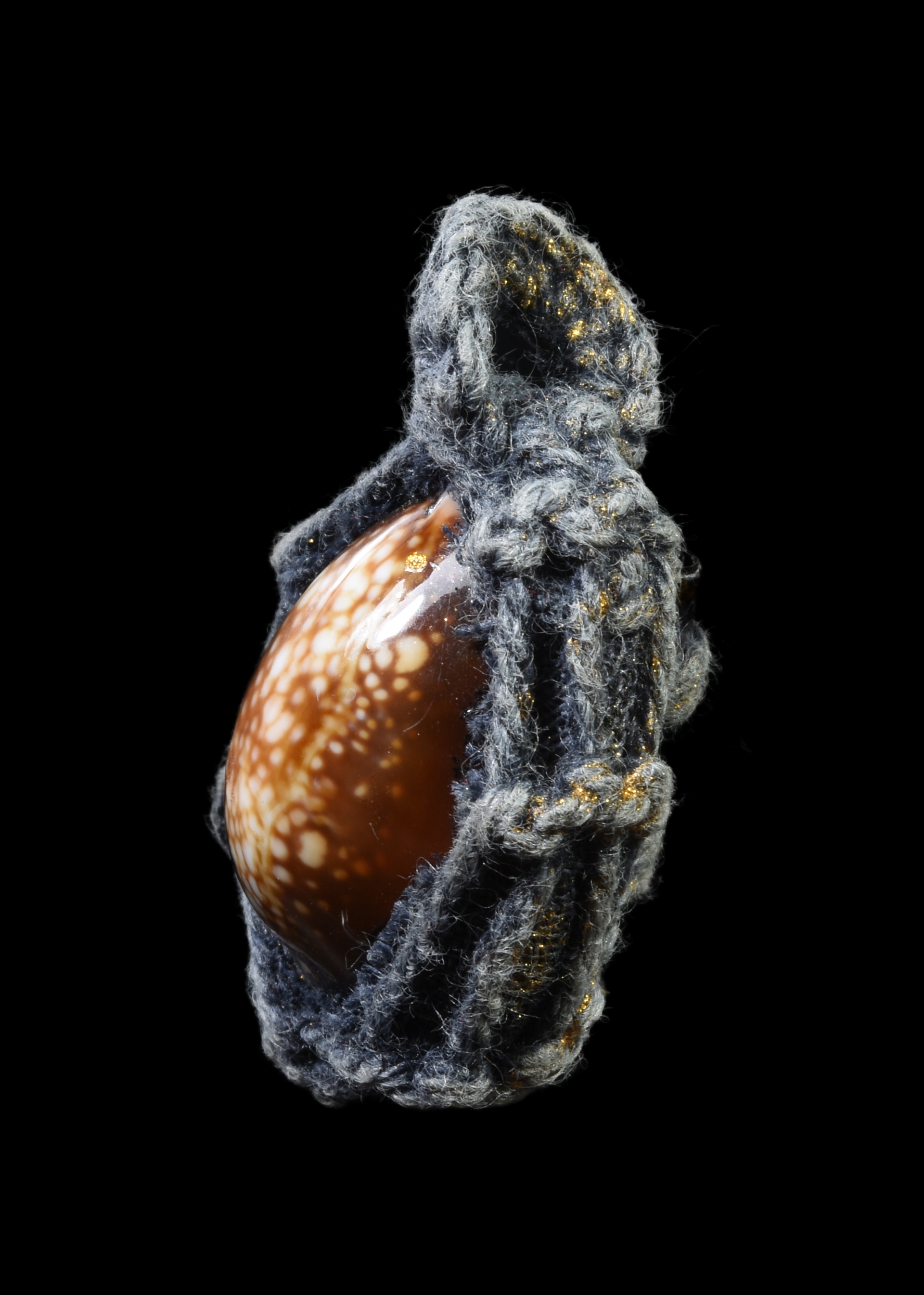 เบี้ยแก่ถักเชือก หลังตระกุด