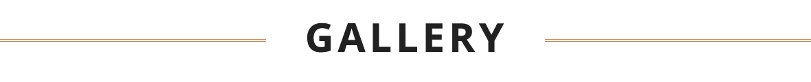 GALLERY ภาพรวมกิจกรรม และเมนูอาหารต่างๆ