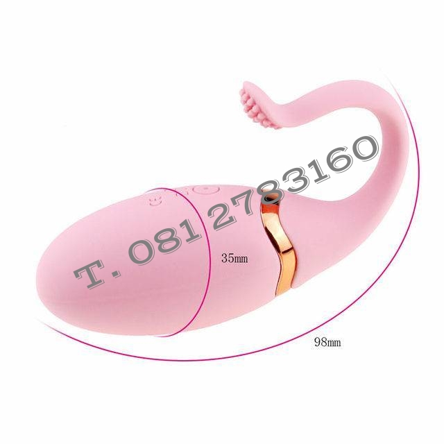 รหัส XM -141 ไข่สั่นไร้สายโลมา