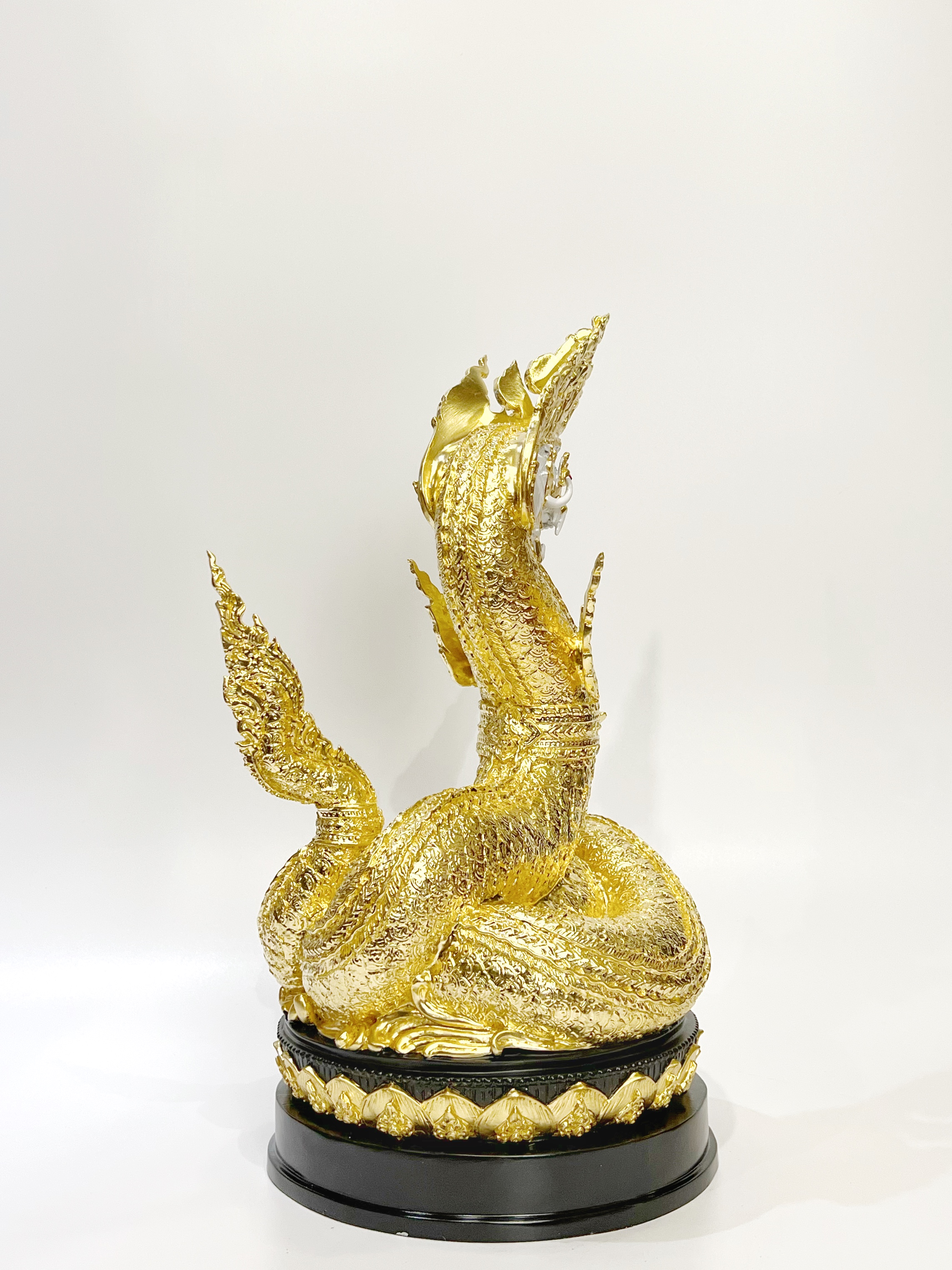 พญานาคราชทรัพย์อนันต์ พญานาค 1 เศียร