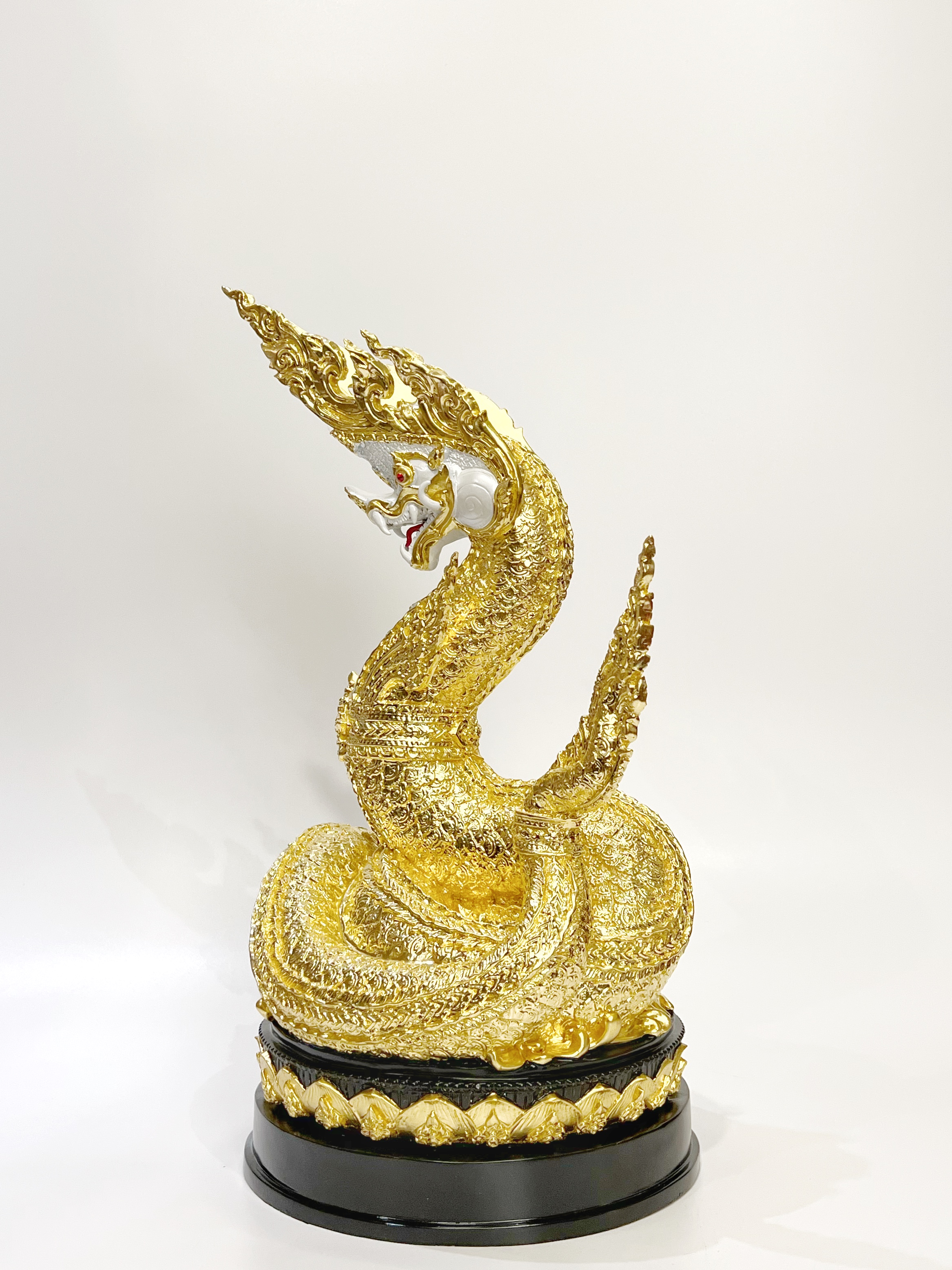 พญานาคราชทรัพย์อนันต์ พญานาค 1 เศียร