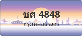 ป้ายประมูล ชศ 4848