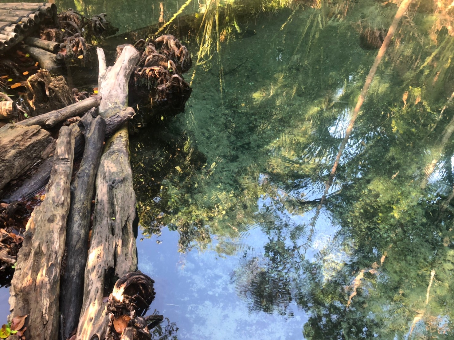 อันดับ 1 เที่ยวกระบี่ พายเรือคายัค คลองน้ำใส ขับ ATV เต็มวัน