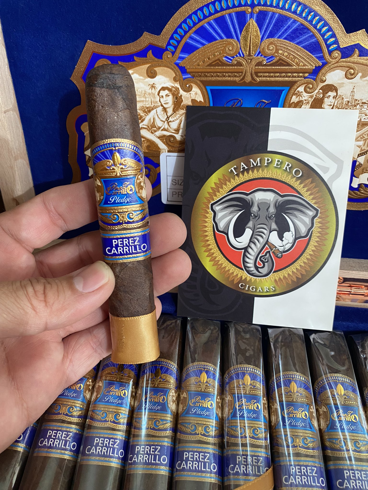 EP Carrillo Pledge Prequel "5x50"
