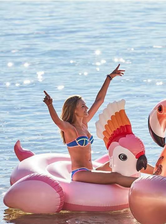 ห่วงยางนกแก้ว สีชมพู Inflatable Pink Parrot Pool Float