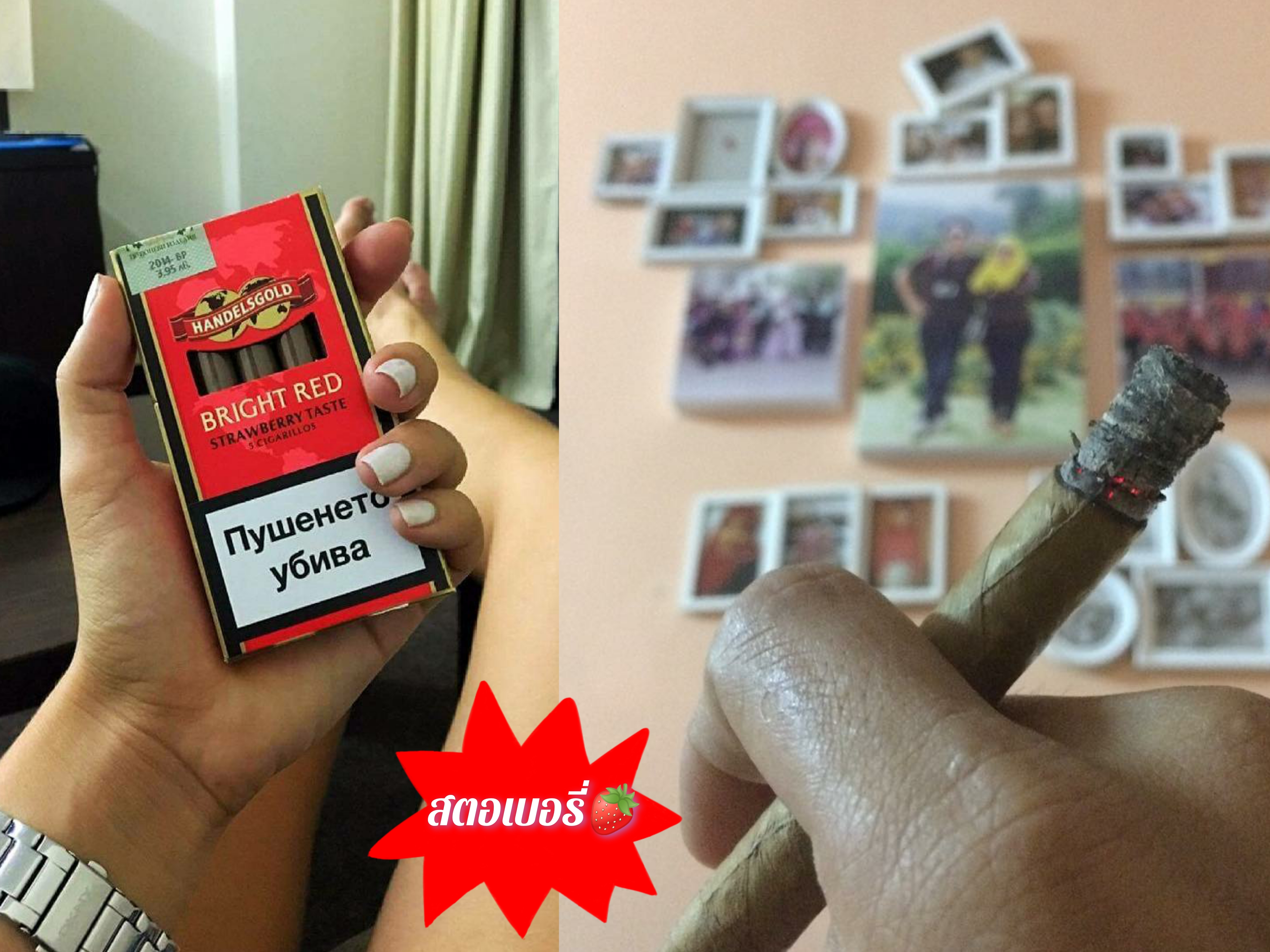 ซิการ์ handelsgold เยอรมัน (สุ่มกลิ่น)