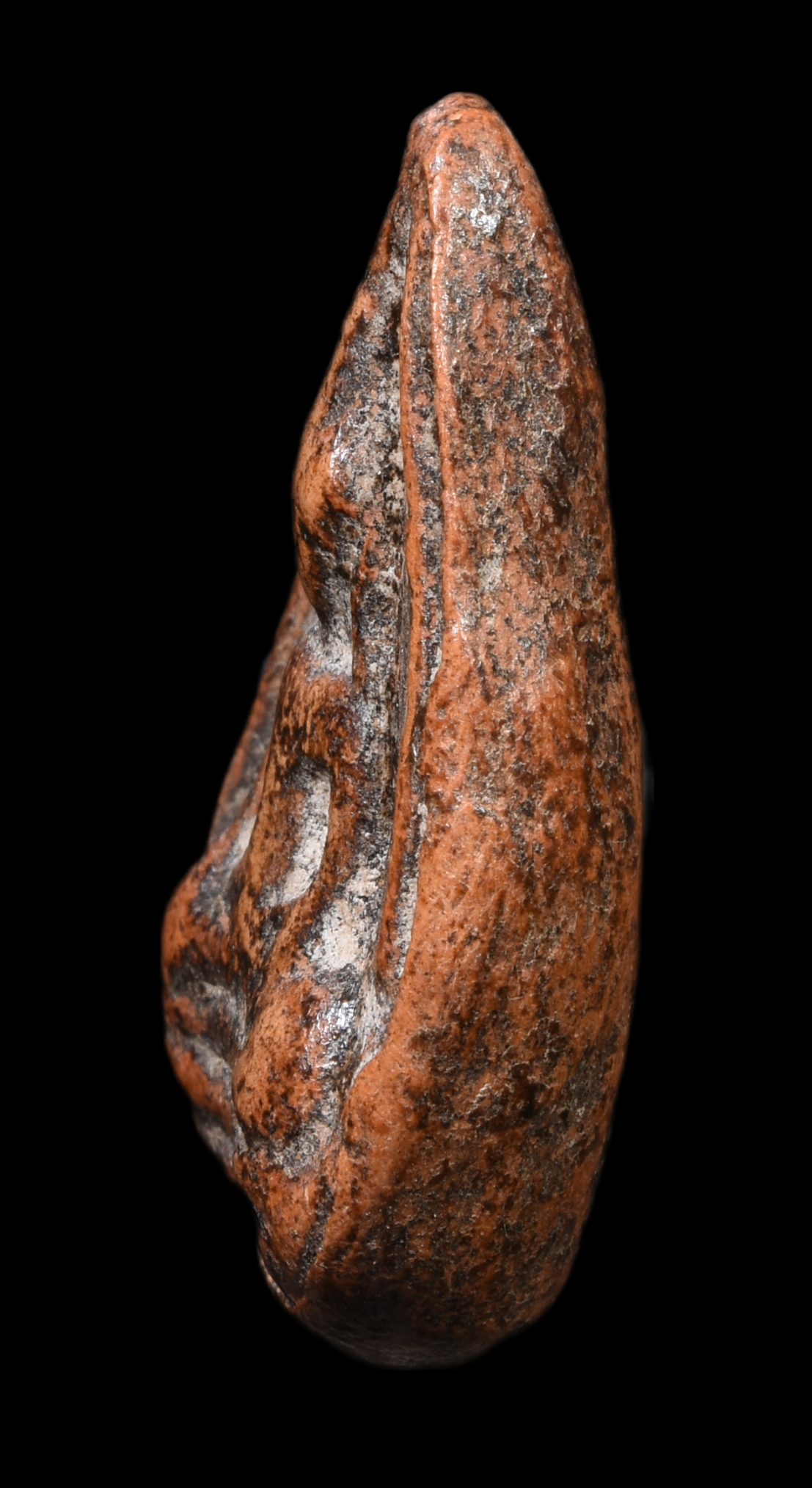 พระกลีบบัว เนื้อดิน ปางมารวิชัย