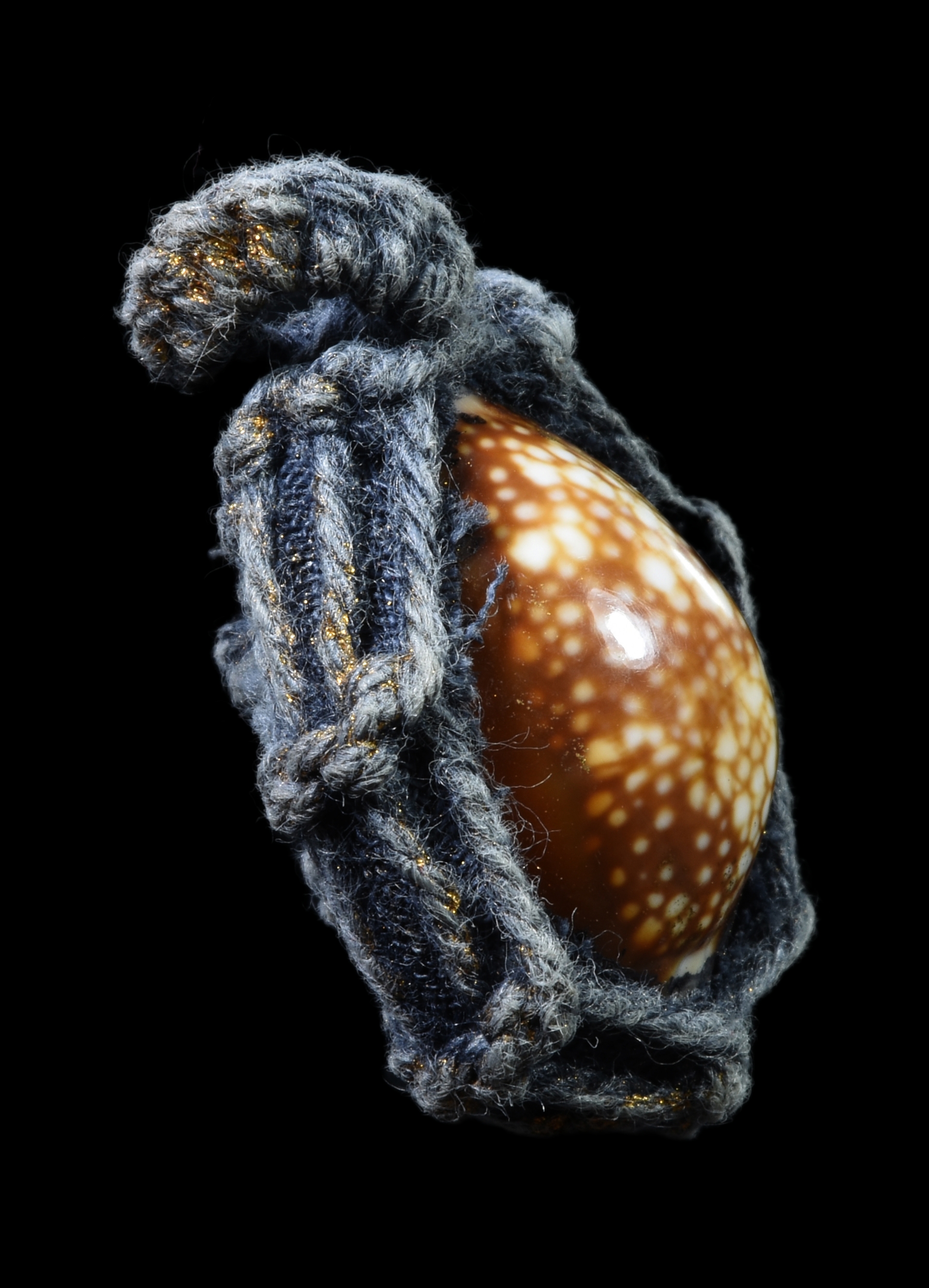 เบี้ยแก่ถักเชือก หลังตระกุด