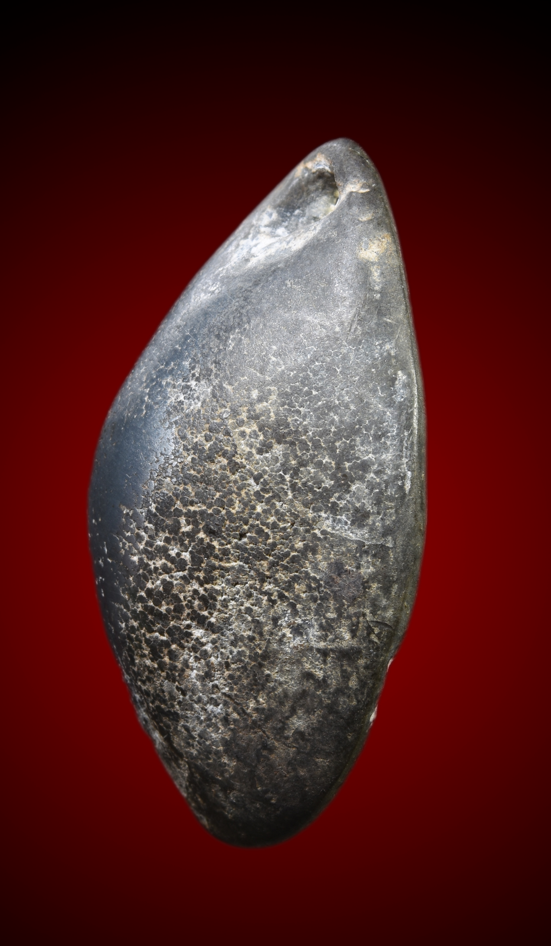 เบี้ยแก้ เนื้อตะกั่ว