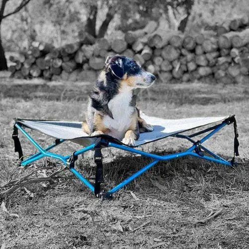 Navigator Dog Bed ที่นอนสำหรับสัตว์เลี้ยง