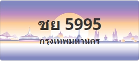 ป้ายประมูล ชย 5995