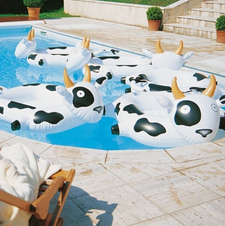 ห่วงยางรูปวัว เป่าลม Inflatable Cow Pool Float