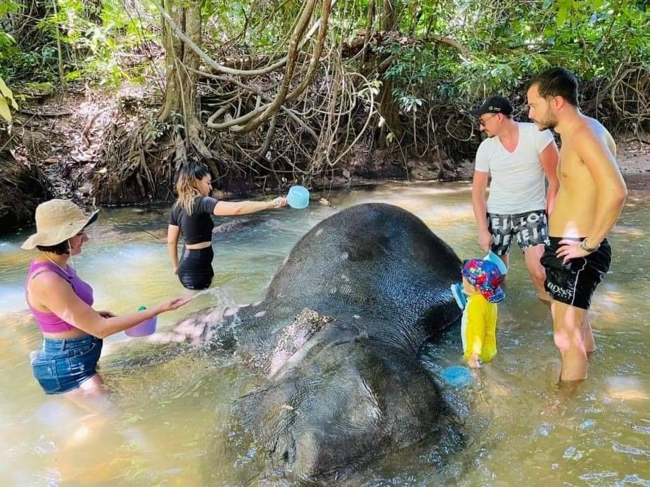 อันดับ 1 ทัวร์ขี่ช้าง กระบี่ ทัวร์นั่งช้างกระบี่