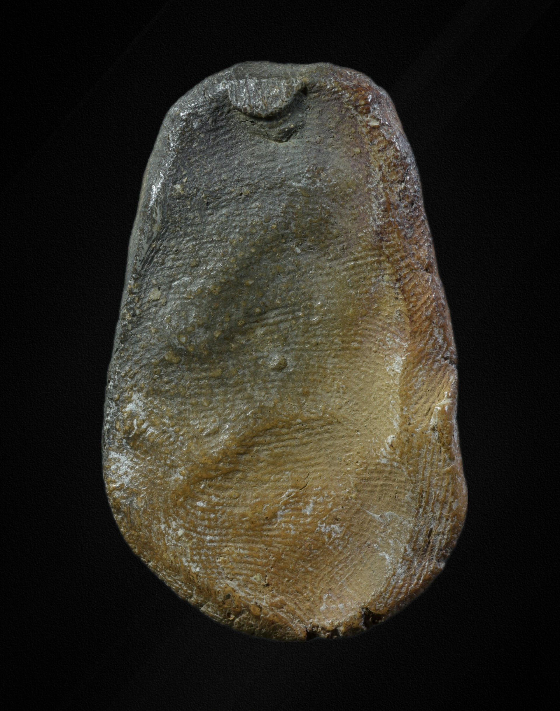 พระพุทธชินราชใบเสมา เนื้อดินเผา