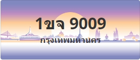 ป้ายประมูล 1ขจ 9009