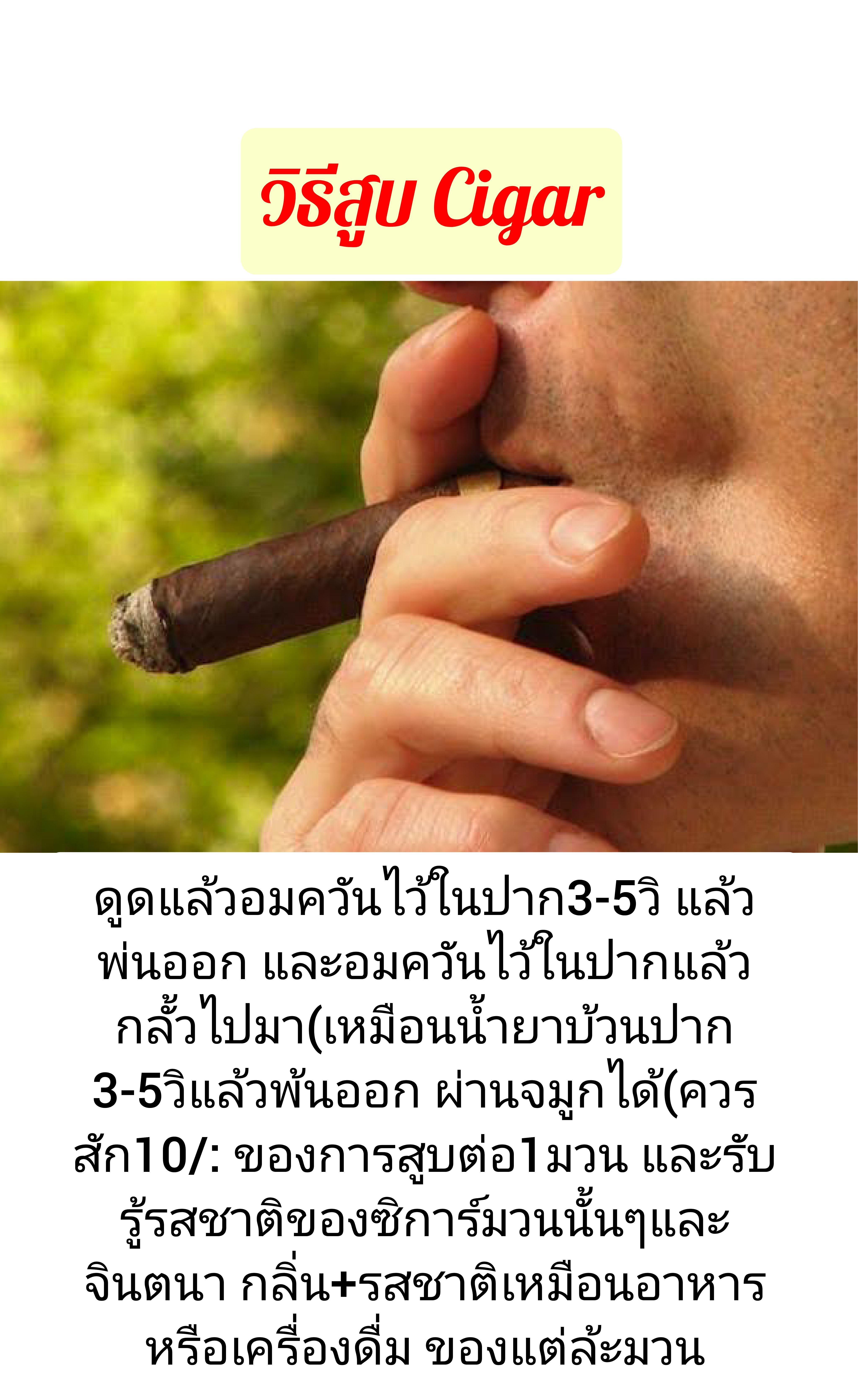 สอนตัด+สอนสูบ ซิการ์