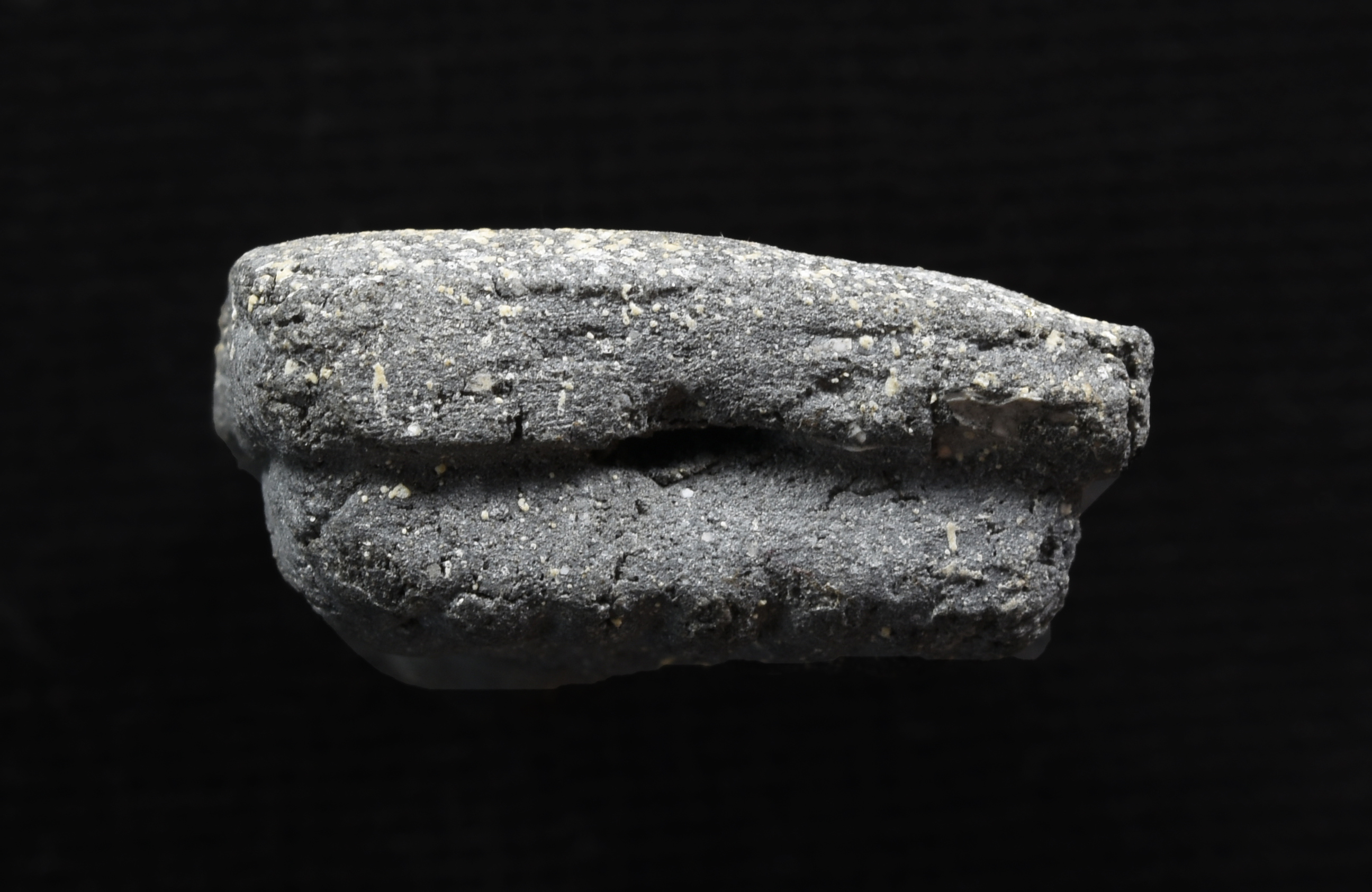 พระหลวงปู่ทวด