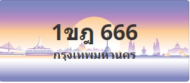 ป้ายประมูล 1ขฎ 666