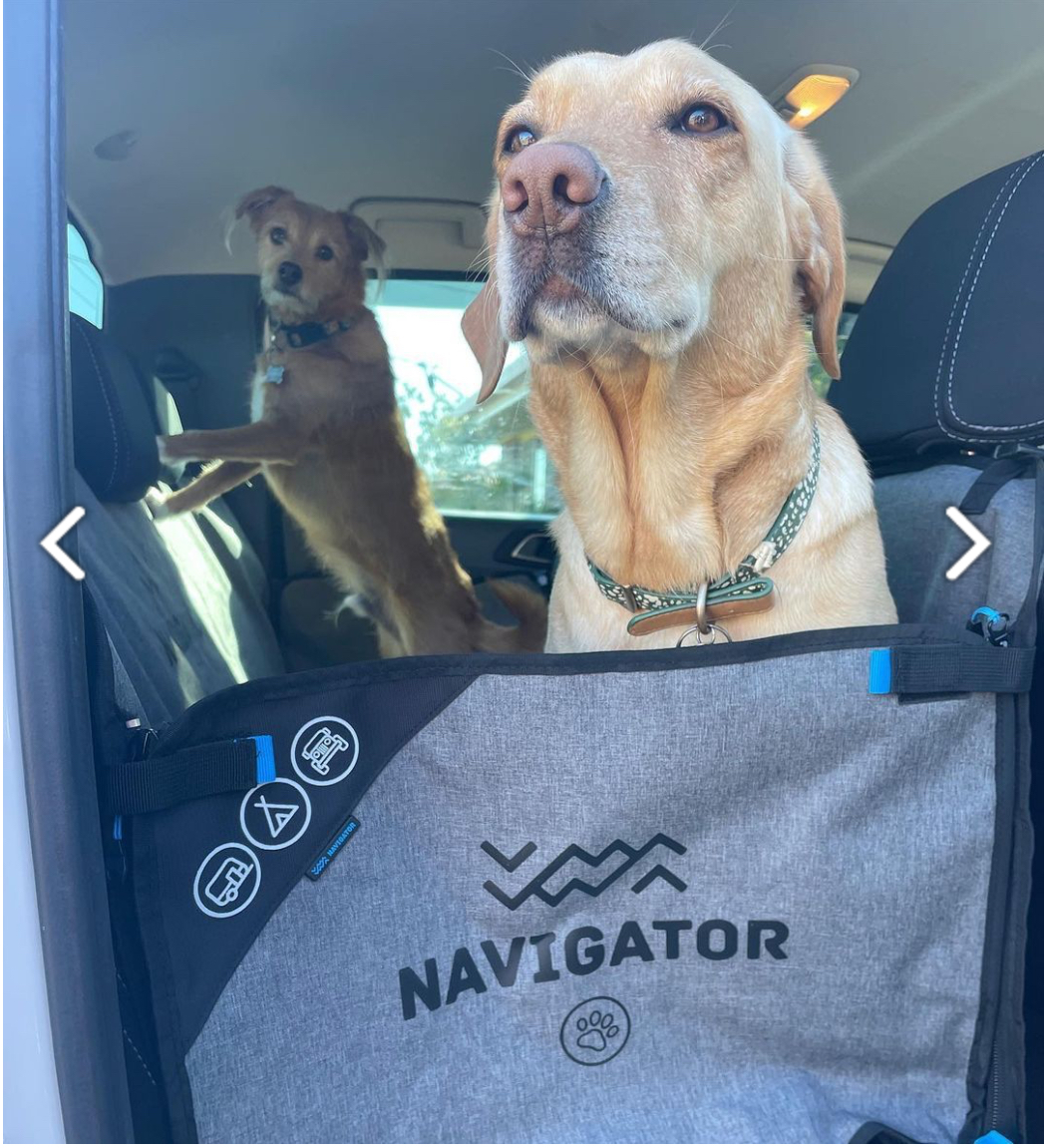 Navigator Dog Seat Buddy เบาะรองนั่งบนรถสำหรับสัตว์เลี้ยง