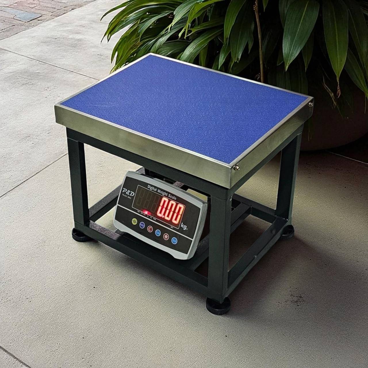 เครื่องชั่งดิจิตอล 300 kg. ค่าละเอียด 100 g. แท่นชั่ง 40x50 cm.