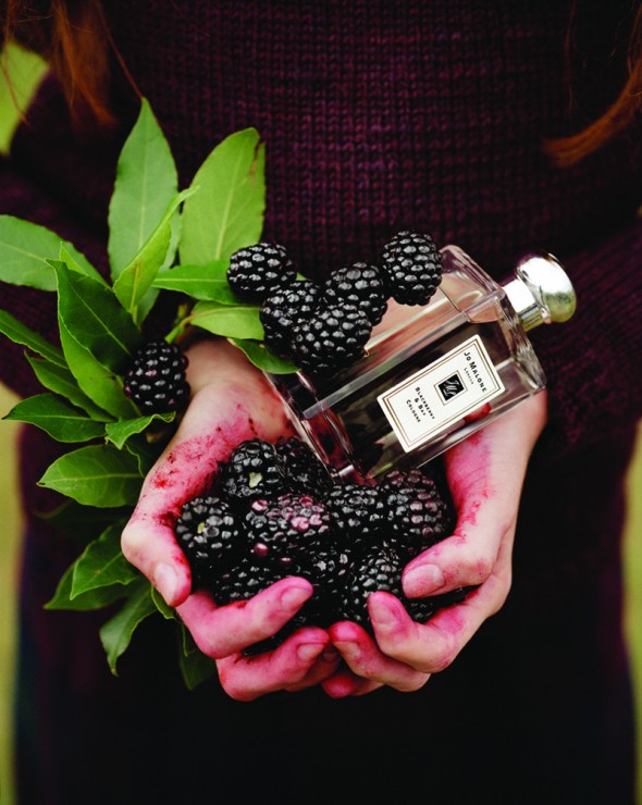 น้ำหอม Jo Malone Blackberry & Bay Cologne 30ml ของแท้ 100%