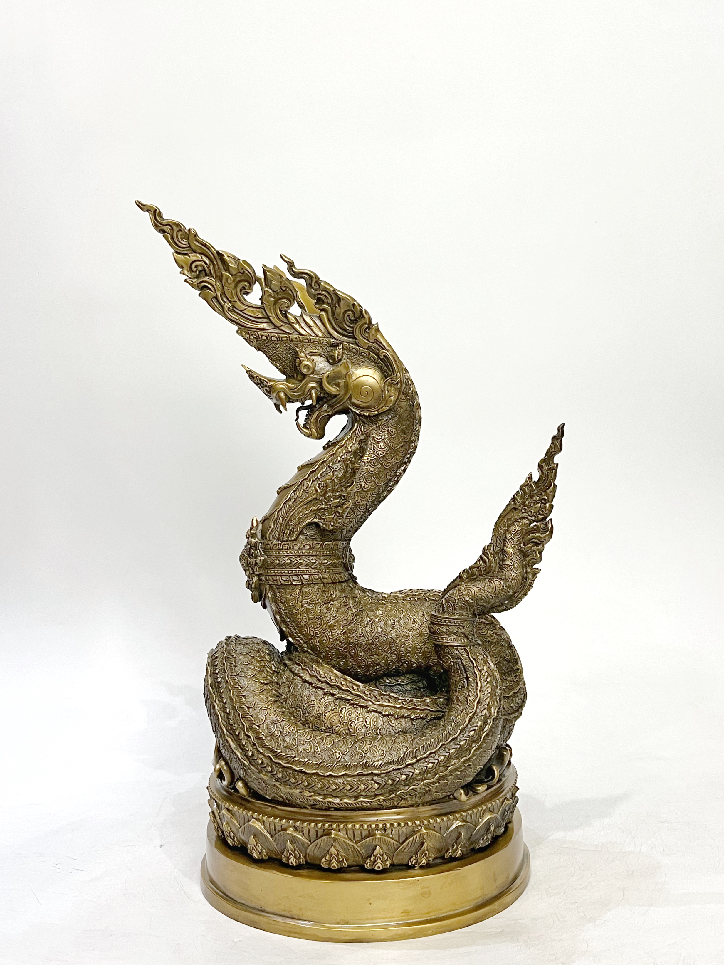 พญานาคราชทรัพย์อนันต์ พญานาค 1 เศียร