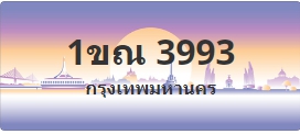 ป้ายประมูล 1ขณ 3993