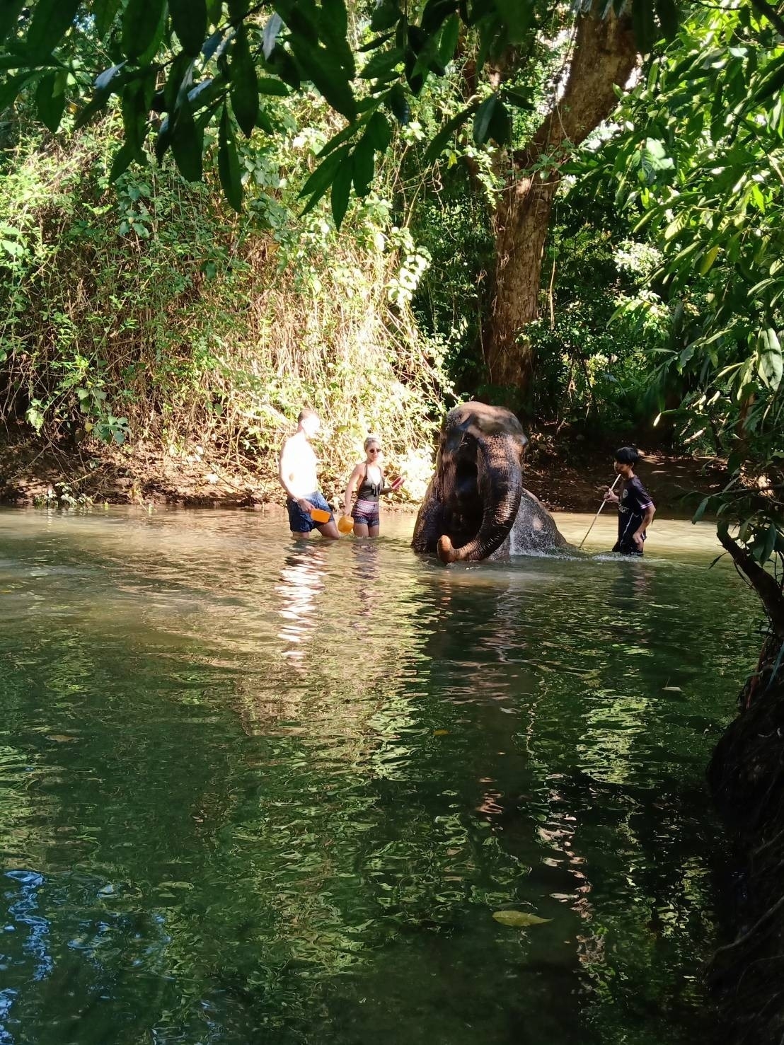 อันดับ 1 ทัวร์ขี่ช้าง กระบี่ ทัวร์นั่งช้างกระบี่
