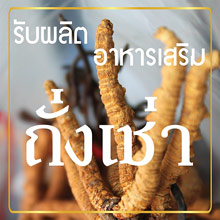 รับผลิตถังเช่า