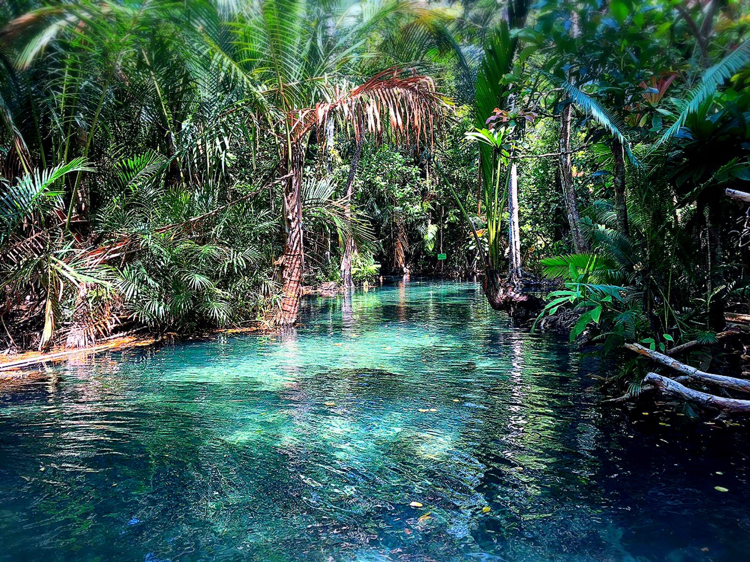 อันดับ 1 เที่ยวกระบี่ พายเรือคายัค คลองน้ำใส ขับ ATV เต็มวัน