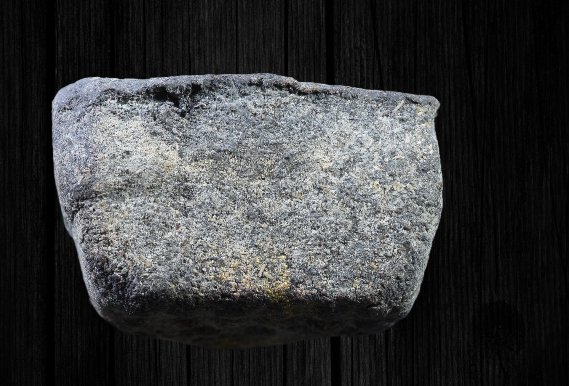 พระหลวงปู่ทวด เนื้อว่าน หลังยันต์