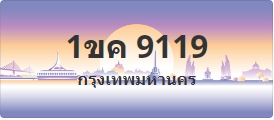 ป้ายประมูล 1ขค 9119