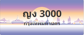 ป้ายประมูล ญง 3000