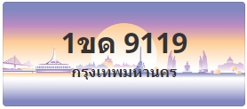 ป้ายประมูล 1ขด 9119
